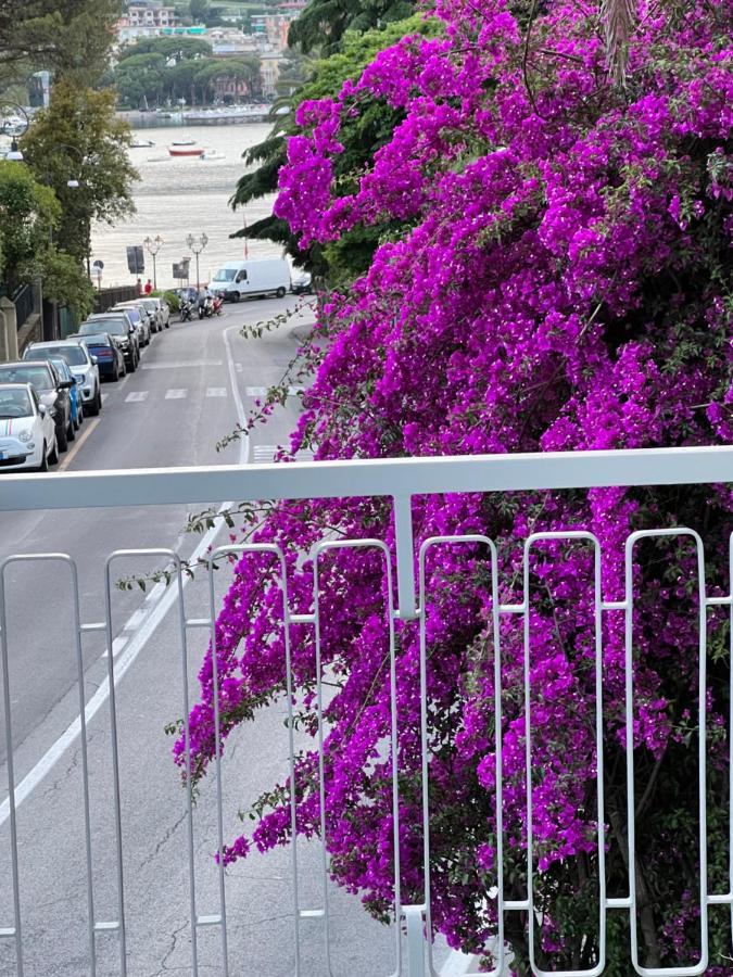 Torre D'Avorio: Renovated Apartment with Terrace Near City Center Rapallo Exterior photo